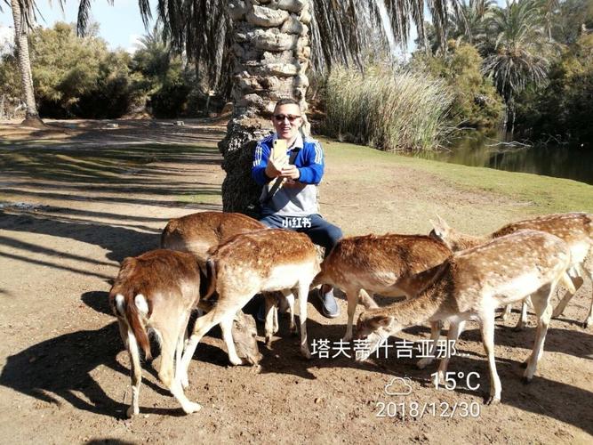 在开罗的动物园_动物园_埃及旅行_出行_景点
