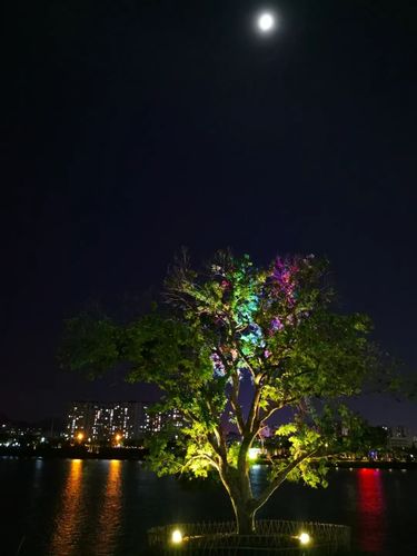 就在身边的美,也许你一直没发现,盘点晚上散步的最佳地点