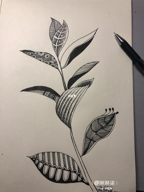 【原创】黑白装饰画-植物装饰步骤图_装饰画_绿植_我爱绿植_文化_绘画