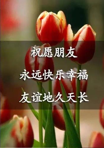 真诚的友谊不会忘记, 执着的感情不会放弃, 永远的朋友不会分离, 真诚