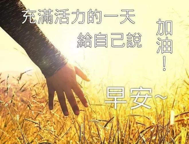 11张最唯美的早安图片带字,漂亮好看的美女早上好问候