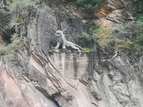 对面的山崖上还有一只准备跳的老虎.