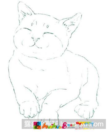 把猫咪的脸部画得圆圆的,眼睛,鼻子和嘴巴集中一些会使猫咪显得更加