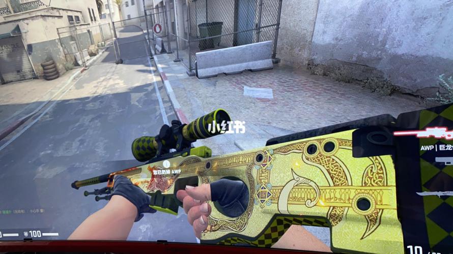 龙狙_csgo_游戏_网络游戏
