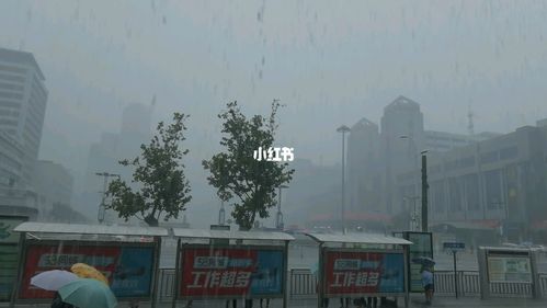 郑州大雨的一天_郑州_郑州自由行热门攻略_高铁_郑州暴雨_生活记录