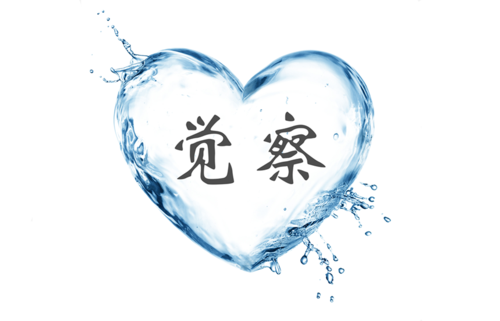 简单一天|觉察日记