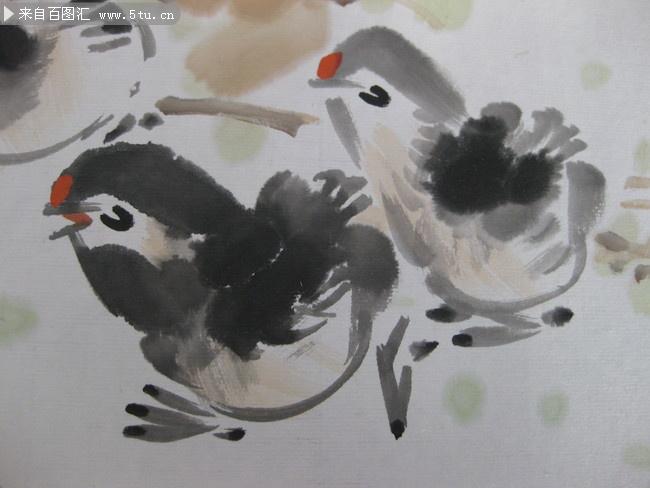 国画小鸡图片素材