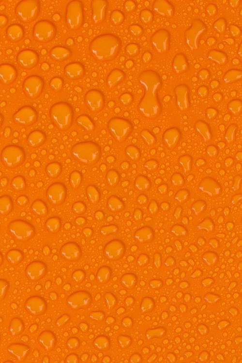 橘色背景海绵纸黑板报 黑板报图片大全