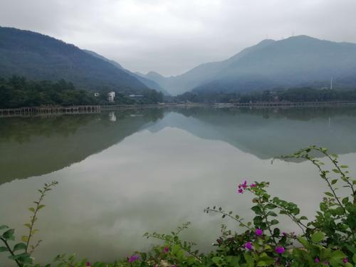 其它 八一水库森林公园 写美篇八一水库位于福州市新店镇北部赤桥溪南