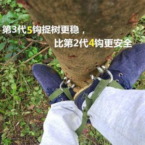 上树工具爬树