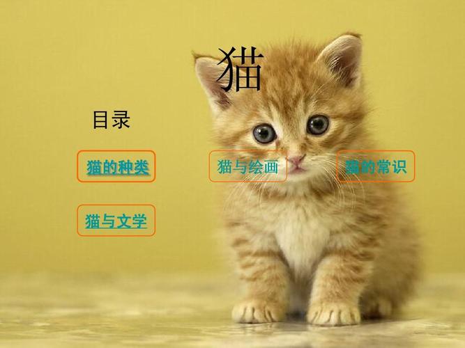 免费文档 所有分类 初中教育 语文 《猫》的介绍ppt 第1页 (共10页