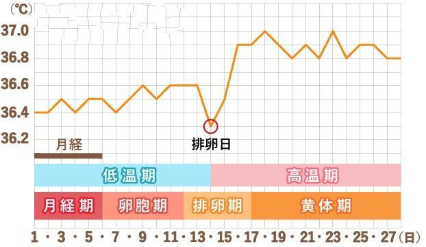 一,怎样确定排卵期?