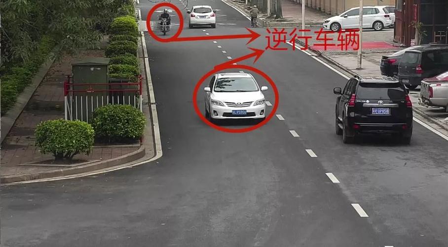 逆行车辆的车主,这里有你的照片