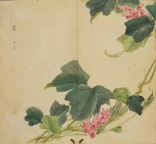 4,柳《卫风·木瓜》投我以木瓜,报之以琼琚.3,木瓜《大雅·生