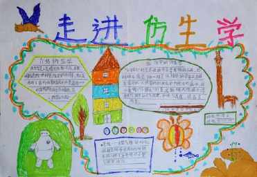 简单点的仿生学漂亮手抄报 简单一点的手抄报