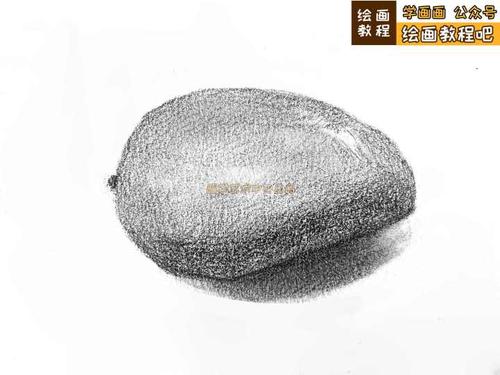【画画教程今日内容】:素描芒果 〉〉〉【说明】:画画教程非常