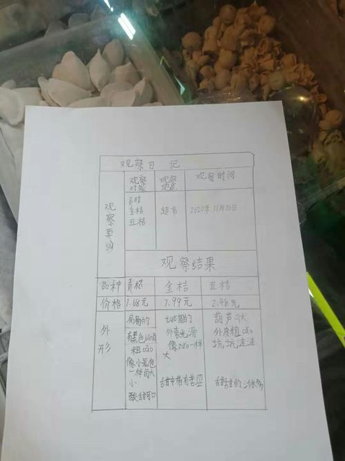 同学在自家房前屋后观察了松树,枣树,仙人掌等植物,进行了详细的记录