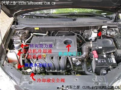 发动机的防冻液,或者叫冷却液.原车的应该是粉红色的.