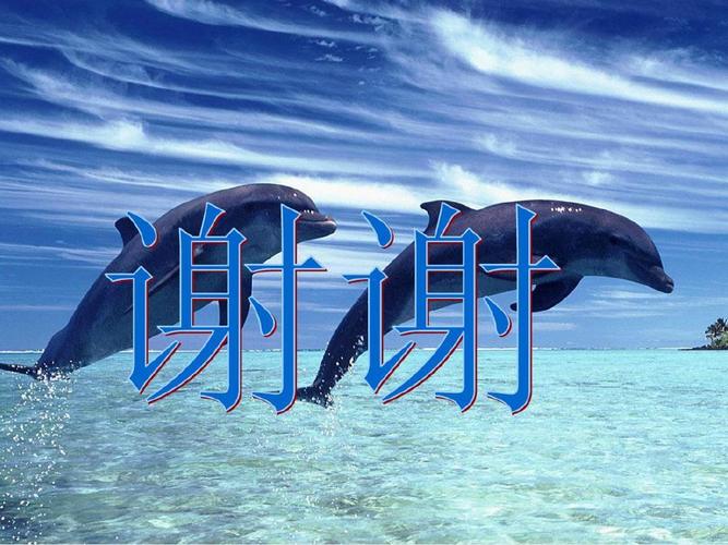 蓝色的海豚岛ppt