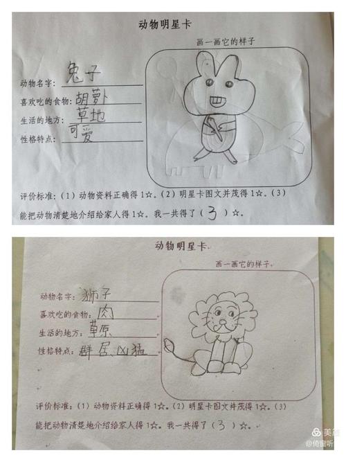 《动物明星卡》——海河小学一年级道德与法治主题教育活动(五)
