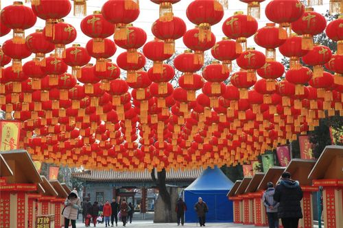 1月18日,北京八大处公园新春祈福庙会现场的大红灯笼高高挂起.