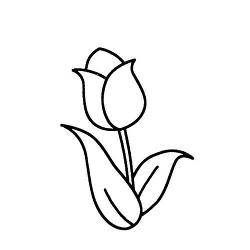 幼儿简笔画,郁金香花简单画法图片,美丽的郁金香简笔画 红红花朵 绿绿