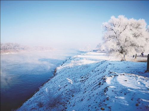 图为吉林雾凇岛美景