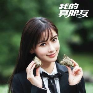 《我的真朋友》视频圈子-《我的真朋友》演员及剧情