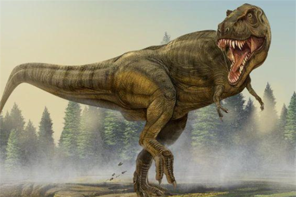 棘龙棘龙是现代目前已知的最大的一种肉食类恐龙,化石于1915年在埃及