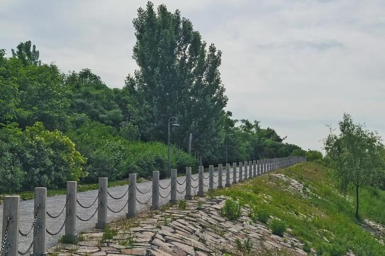 西安灞桥生态湿地公园