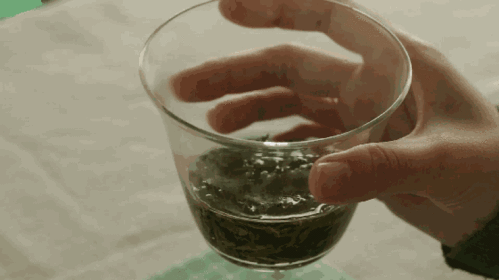 绿茶冲泡全攻略春茶季绿茶尝鲜不可少