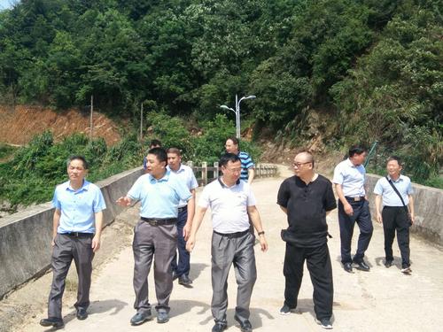 市政协副主席张金涛深入彭湾乡视察防汛救灾工作