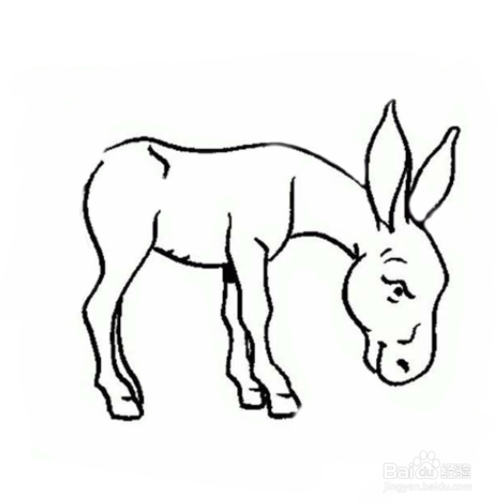 简笔画-如何画驴的简笔画