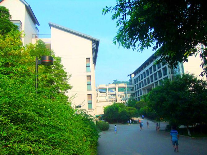 重庆理工大学风光