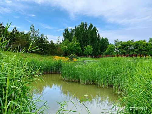 陕西西安浐灞国家湿地公园是国家aaaa级旅游景区位于陕西省西安市境内