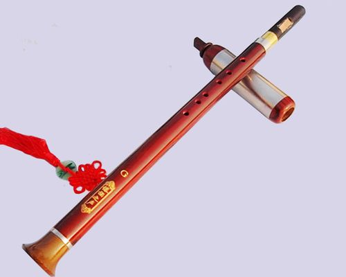 2017年夏季巴乌竖吹乐器 初学入门 f调g调 学生儿童成新款真便宜