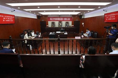 青岛法院:建设破产审判工作驶上"快车道"