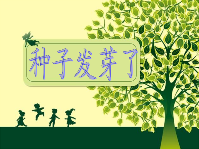 种子发芽了资料.ppt