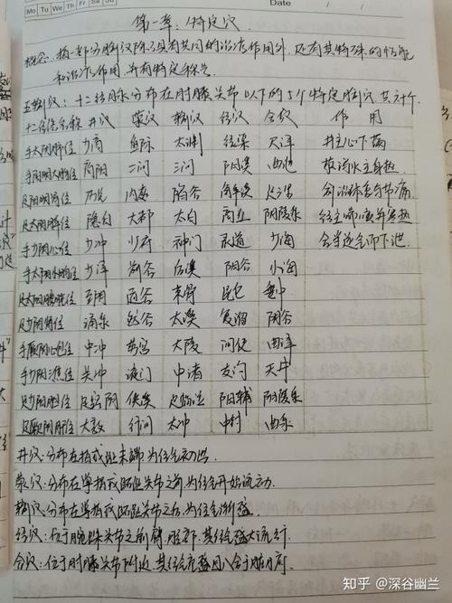 经络养生(五输穴)