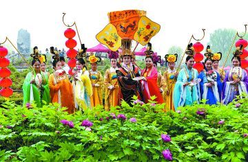 隋唐城遗址植物园:牡丹花丛中 "武皇"赏花忙