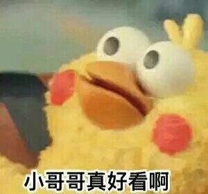 鹦鹉兄弟:小哥哥真好看啊,花痴脸 - 追星日常表情包_追星_爱豆_迷妹