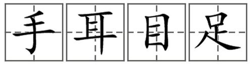 手耳目足口坐站在田字格占什么位置