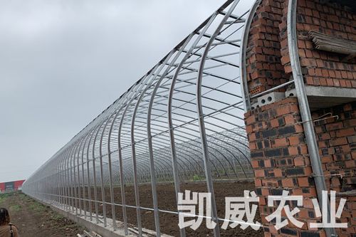 上海大棚钢架建造