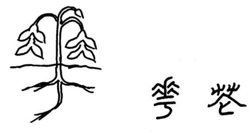 象形字的简笔画