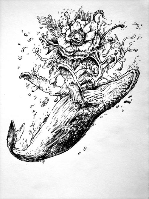 教你画鲸落_简笔画_大海_浪漫_简笔画教程_文化_绘画