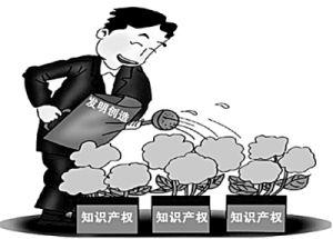 知识产权[法治概念]