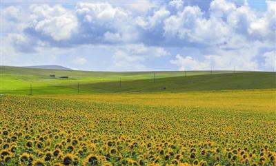 额仑草原的秋惊艳了一季