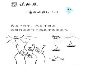 一滴水的旅行