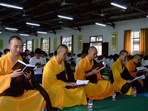西园寺十一期间举办第二届菩提静修营