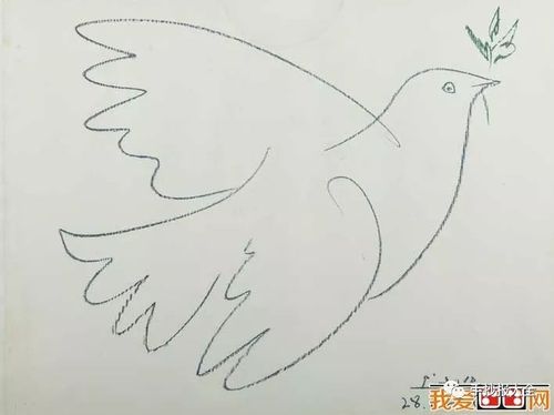 简笔画和平鸽 手抄报图片大全 模板边框设计